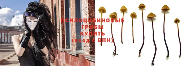 гашик Бронницы