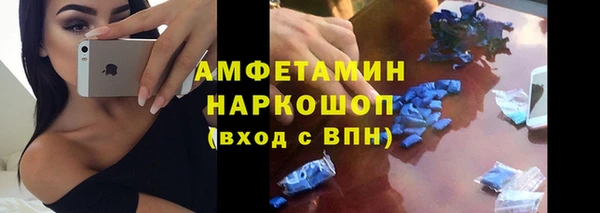 крисы Бородино