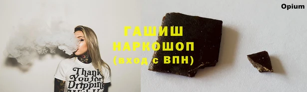индика Бугульма