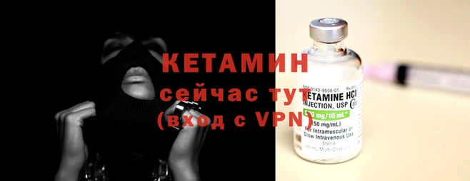 крисы Бородино