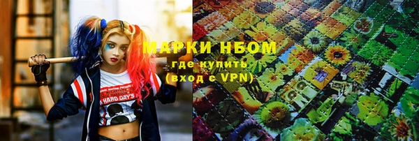 индика Бугульма
