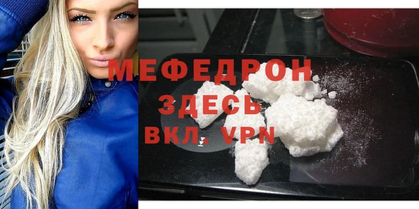 крисы Бородино