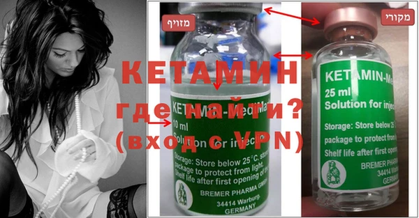 крисы Бородино
