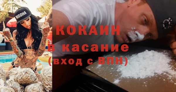 индика Бугульма