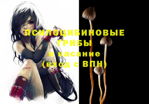 крисы Бородино